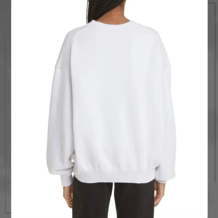 Alexander Wang  |Crew Neck Long Sleeves Plain Oversized Hoodies & Sweatshirts